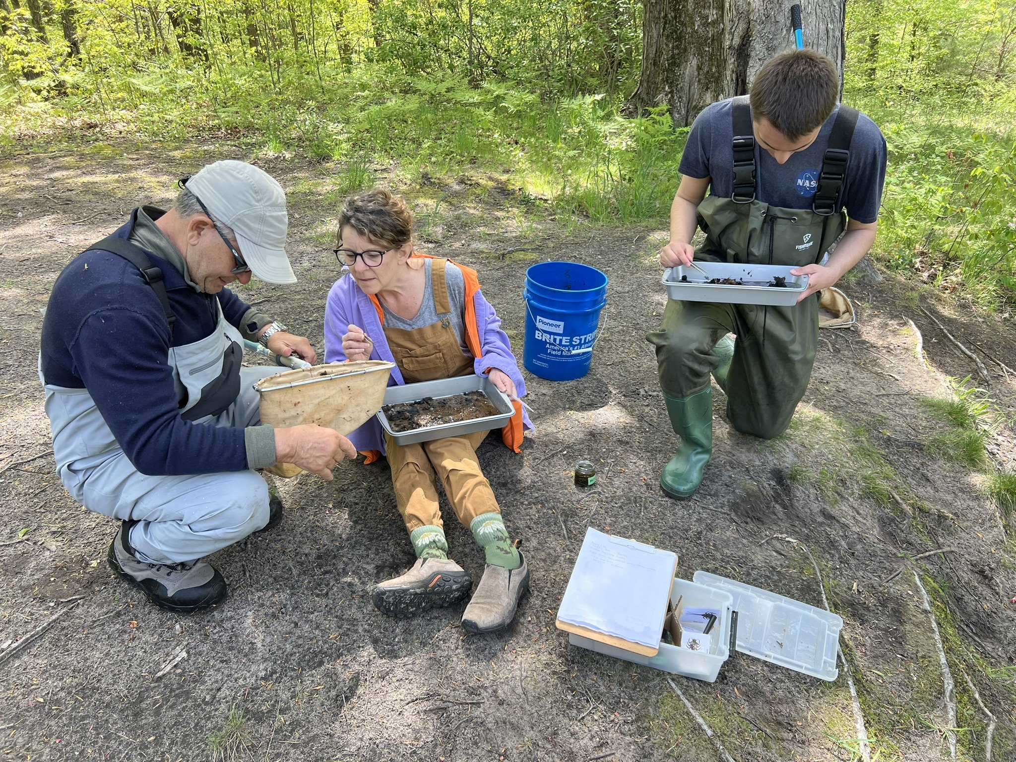 conservation volunteers