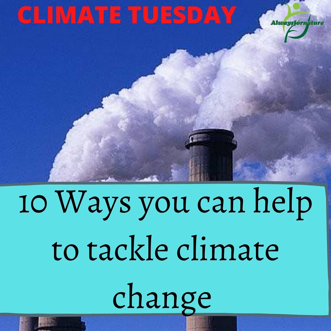 5 actions people can take to fight climate change