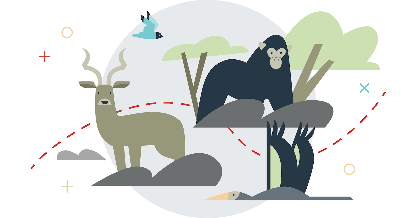 biodiversity and conservation of wildlife