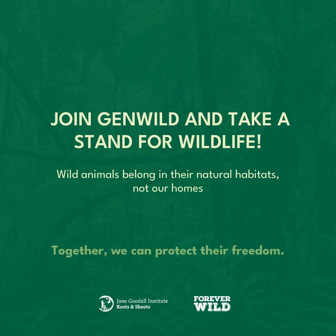 i can protect the wildlife by