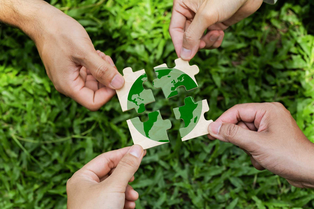 sustainable lifestyle examples