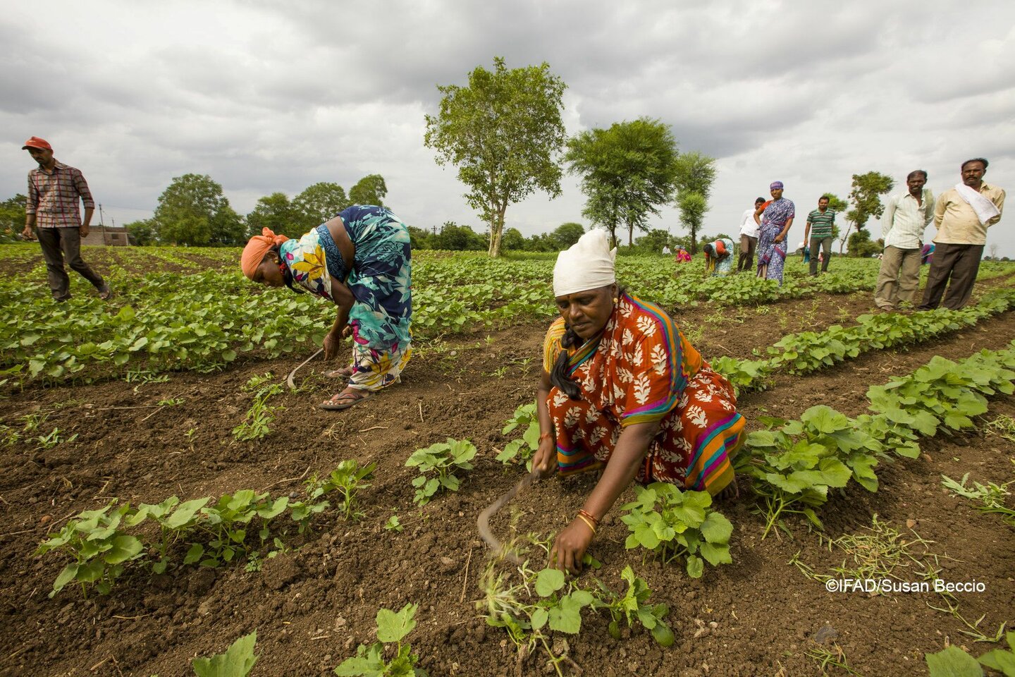 sustainable rural development