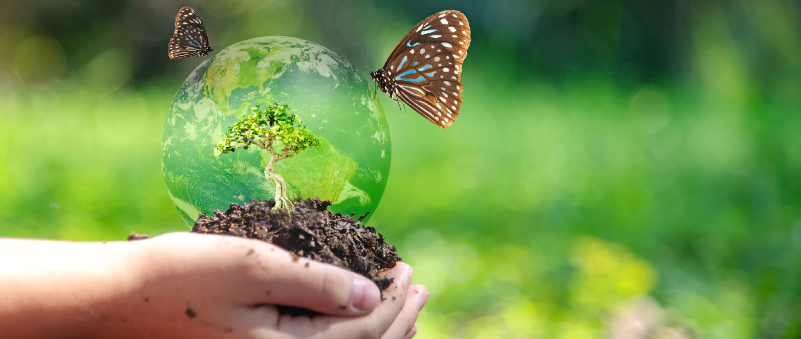 sustainable use of biodiversity