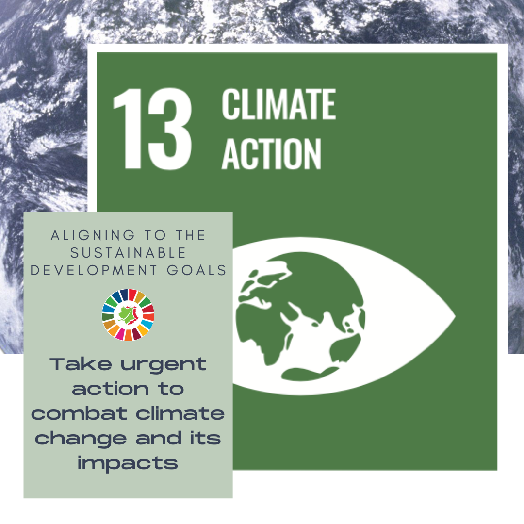 take urgent action to combat climate change