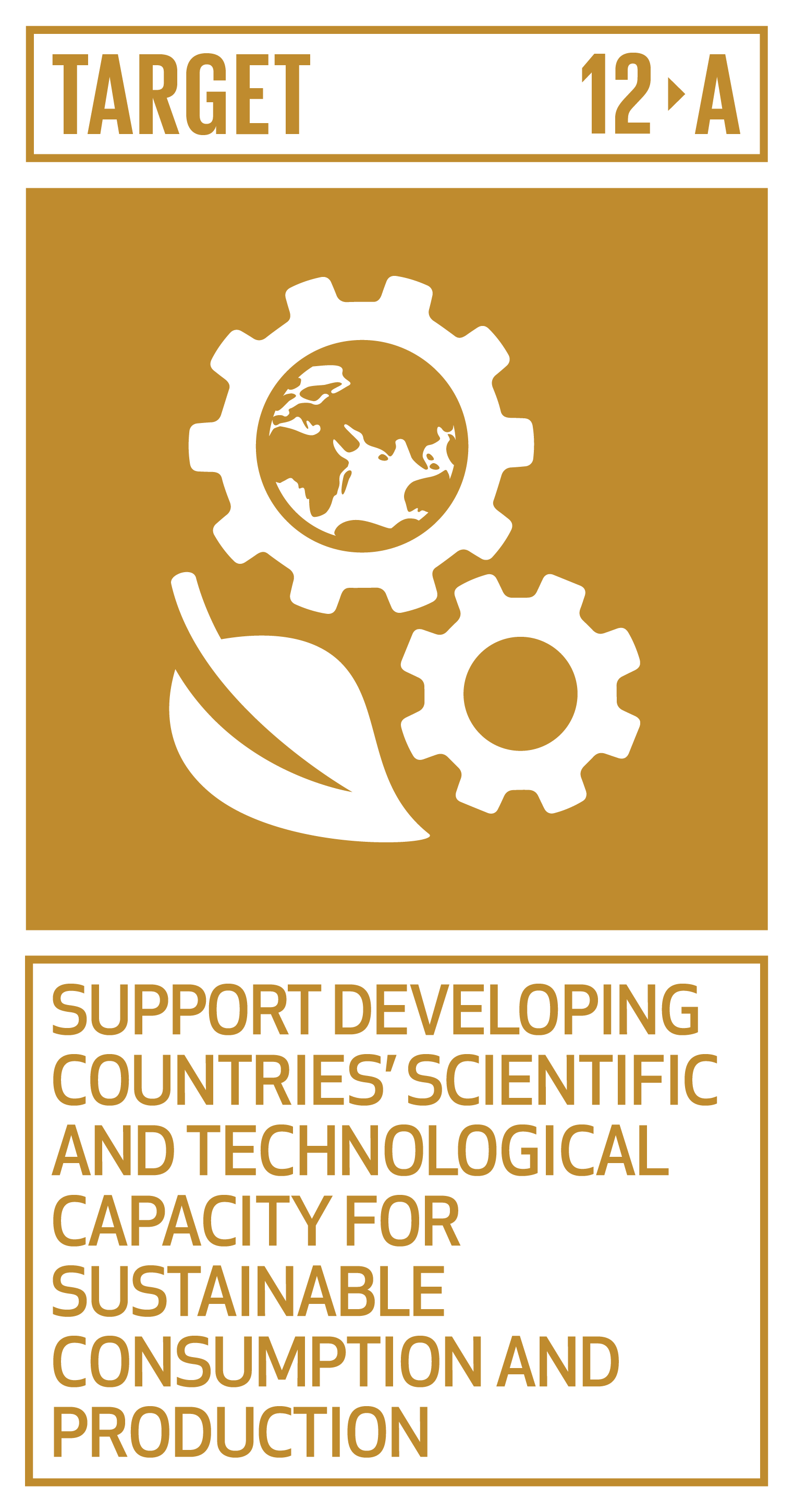un sdg 12