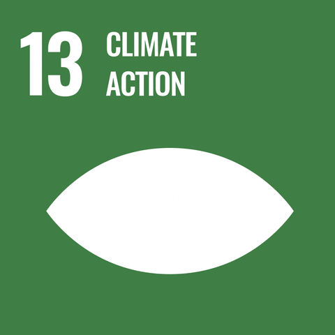 un sdg 13
