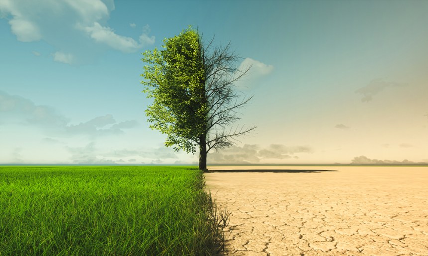 unep climate action