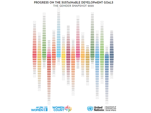 united nations sustainable development goals 2022