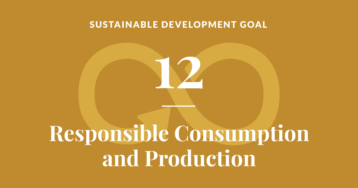 unsdg 12