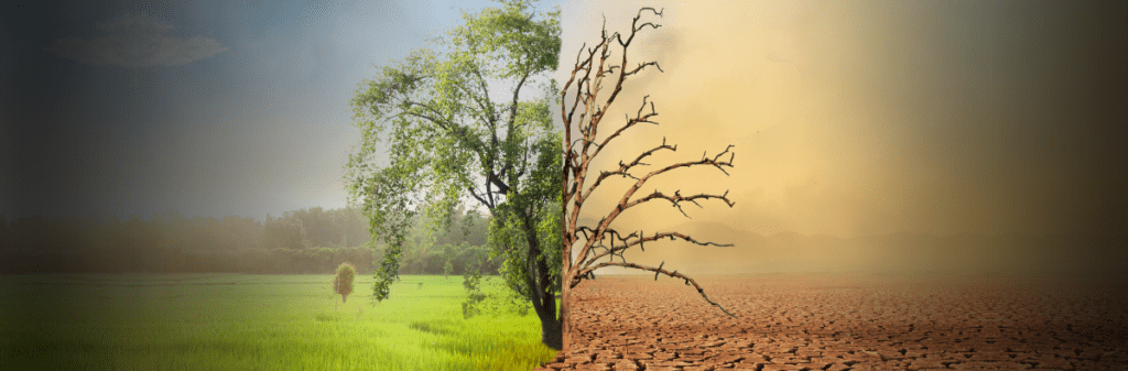 urgent climate action
