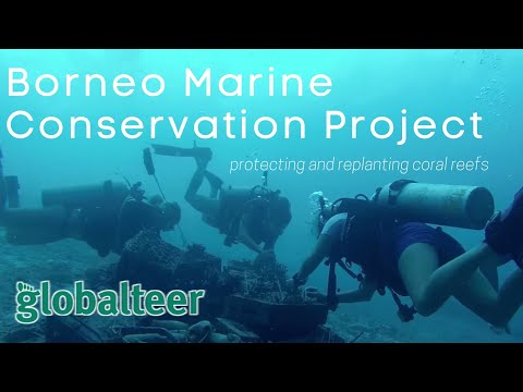 volunteer conservation projects abroad