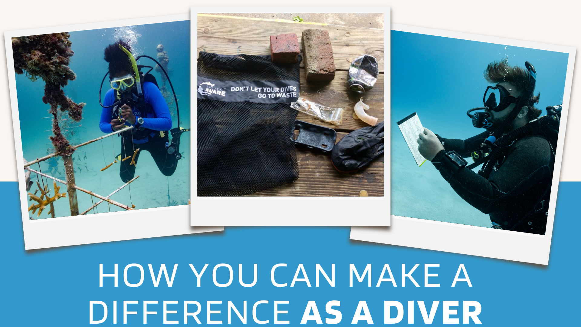 volunteer diving projects