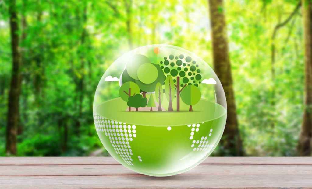 world development sustainability